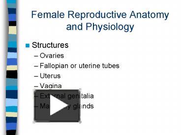 anatomy and physiology of female reproductive organs ppt