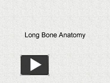 PPT – Long Bone Anatomy PowerPoint presentation | free to view - id