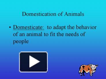 PPT – Domestication of Animals PowerPoint presentation | free to view - id:  12a3f-OGViM