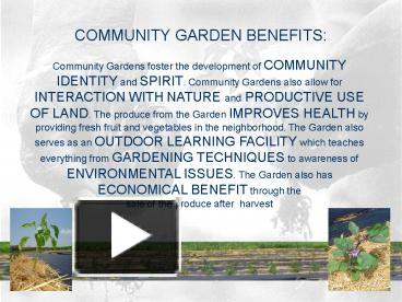 Ppt Community Garden Benefits Powerpoint Presentation Free To