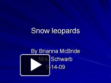 PPT – Snow leopards PowerPoint presentation | free to view - id: 154430