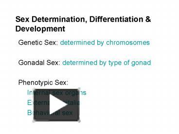 Sex Determination Differentiation Presentation Free To View