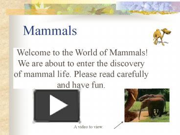 PPT – Mammals PowerPoint presentation | free to view - id: 1cc48-ZWEyO
