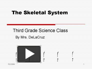 The Skeletal System Third Grade Science Class
