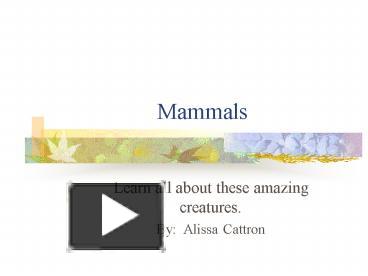 Mammals presentation | free to view