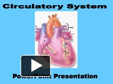 free powerpoint templates for circulatory system