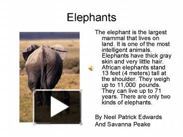PPT – Elephants PowerPoint presentation