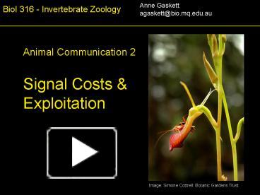 Biol 316 Invertebrate Zoology presentation | free to view