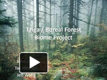 BOREAL FOREST OR TAIGA Stefanny Wilches. - ppt download