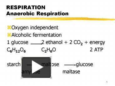 RESPIRATION Anaerobic Respiration presentation | free to view