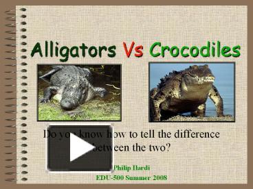 Alligators Vs Crocodiles presentation free to download