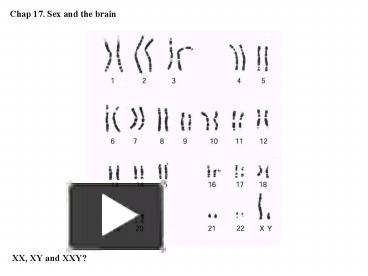 PPT Chap 17 Sex And The Brain PowerPoint Presentation Free To View