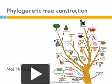 tree construction presentation free to view