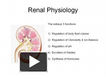 physiology renal ppt