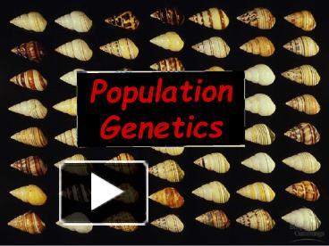 Population Genetics presentation | free to download