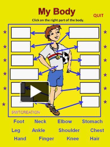 Presentation body picture