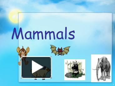 Mammals presentation | free to download