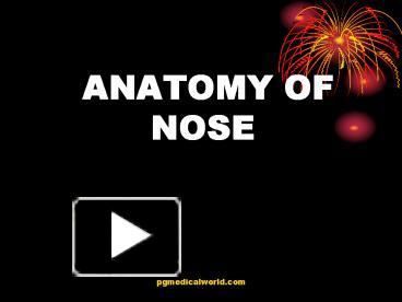 anatomy of nose ppt dhingra