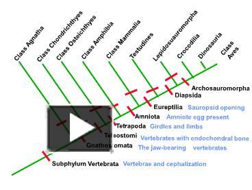 Zoology topics picture
