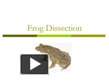 Ppt Frog Dissection Powerpoint Presentation Free To View Id 4c43b4 Mmqwo