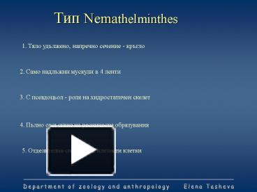 Ppt Nemathelminthes Powerpoint Presentation Free To View