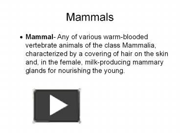 Mammals presentation | free to download