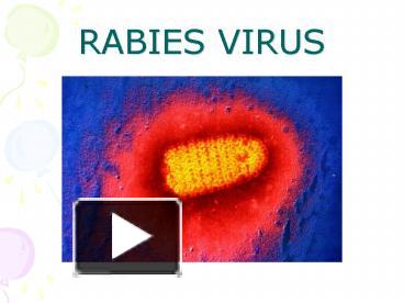 PPT – RABIES VIRUS PowerPoint presentation | free to view - id: 67aab1