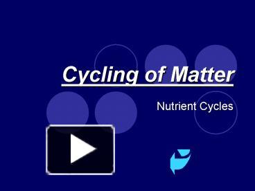 Cycling of Matter presentation | free to download