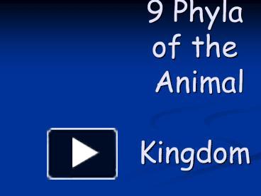 PPT – 9 Phyla of the Animal Kingdom PowerPoint presentation | free to view  - id: 6eb6d1-OTM5N