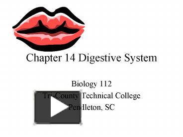 Chapter 14 Digestive System presentation | free to view