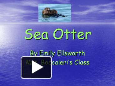 PPT – Sea Otter PowerPoint presentation | free to view - id: 71b32-ZDc1Z