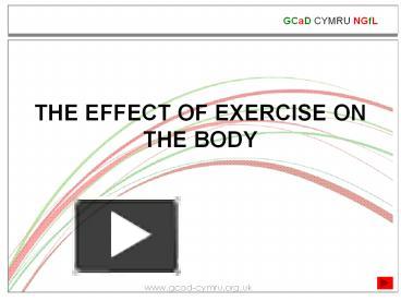 effects of exercise on various systems of the body ppt
