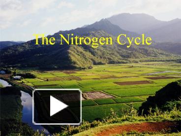 The Nitrogen Cycle presentation | free to view