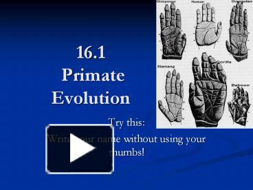 16.1 Primate Evolution presentation | free to view
