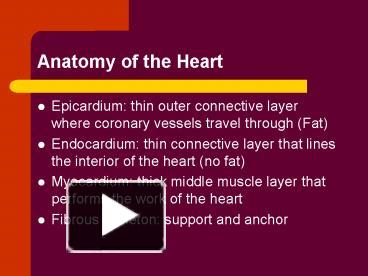 anatomy of heart ppt for nursing students