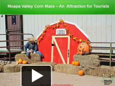 Moapa Valley Corn Maze - An Attraction for Tourists presentation free