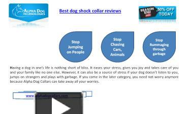 alpha shock collar