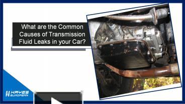 What are the Common Causes of Transmission Fluid Leaks in your Car