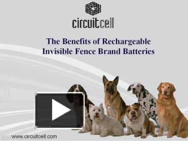 PPT – The Benefits of Rechargeable Invisible Fence Brand Batteries  PowerPoint presentation