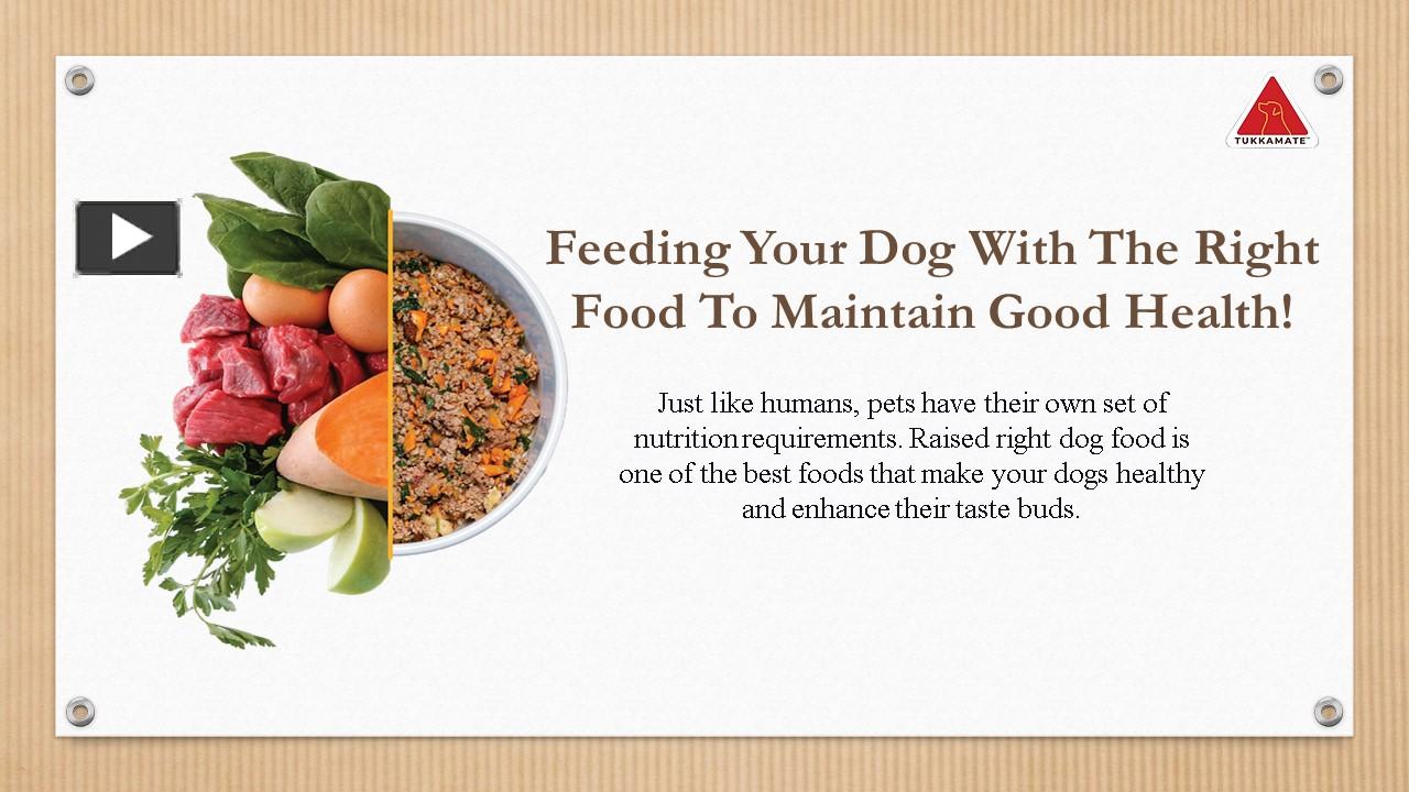 PPT Best Human Grade Dog Food Tukkamate PowerPoint presentation