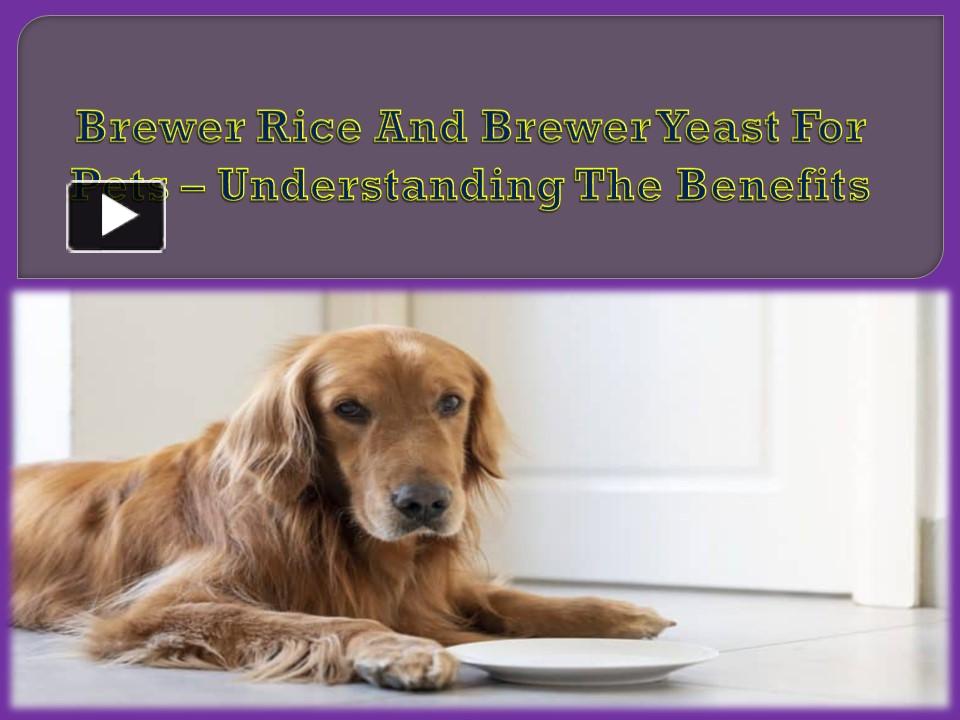 PPT Brewer Rice And Brewer Yeast For Pets Understanding The