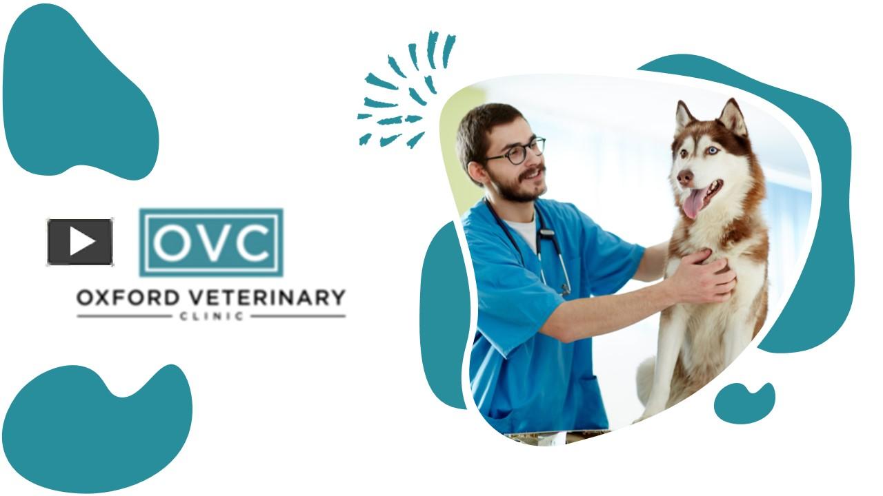 PPT Oxford Veterinary Hospital PowerPoint presentation free to download id 9518f7NzAwM