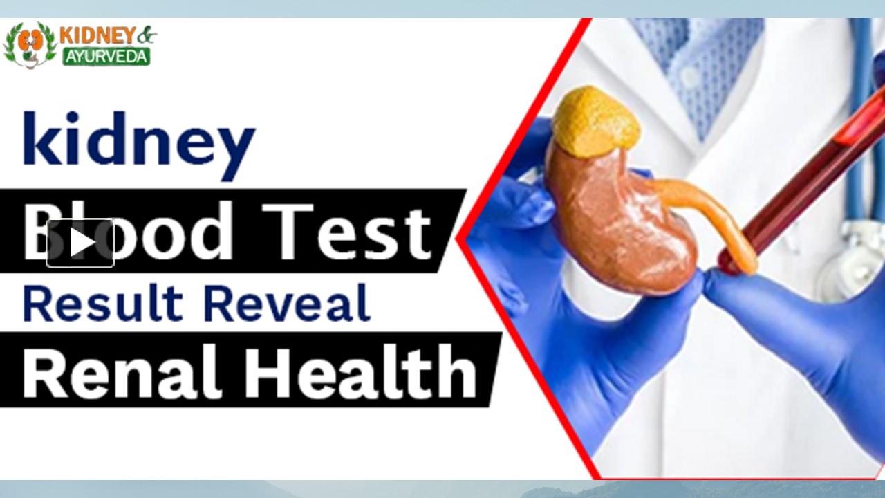 PPT What does a kidney blood test result reveal about your renal health? PowerPoint