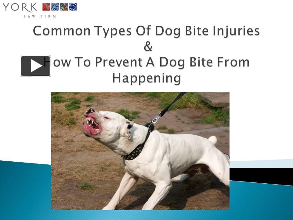 PPT Sacramento Dog Bite Attorney York Law Firm USA PowerPoint