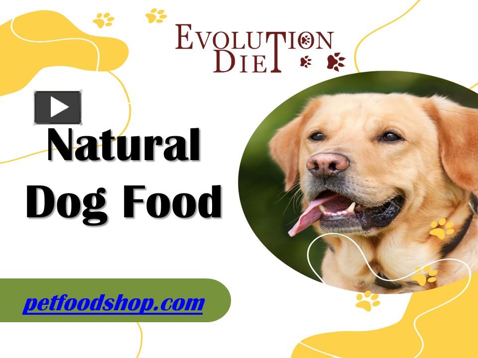 PPT Natural Dog Food Store in Minnesota PowerPoint presentation
