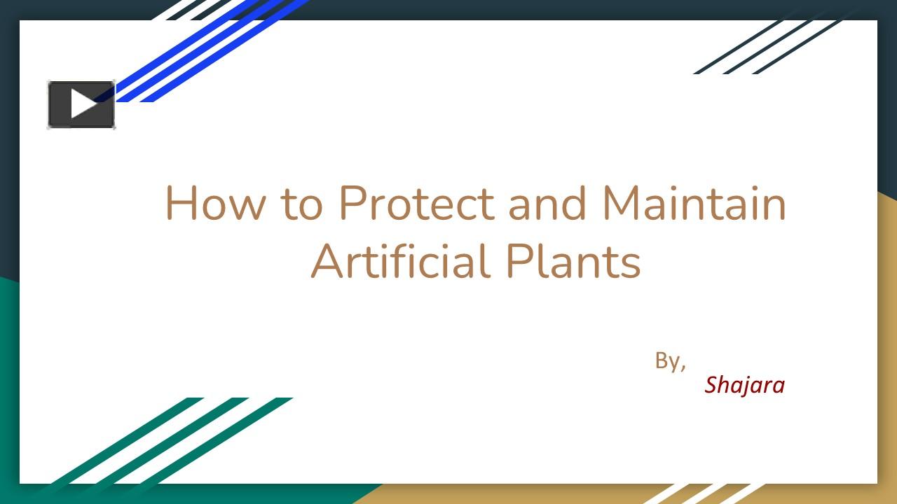 PPT How to Protect and Maintain Artificial Plants PowerPoint presentation free to download