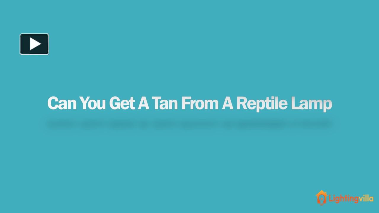 PPT Can You Get A Tan From A Reptile Lamp PowerPoint presentation