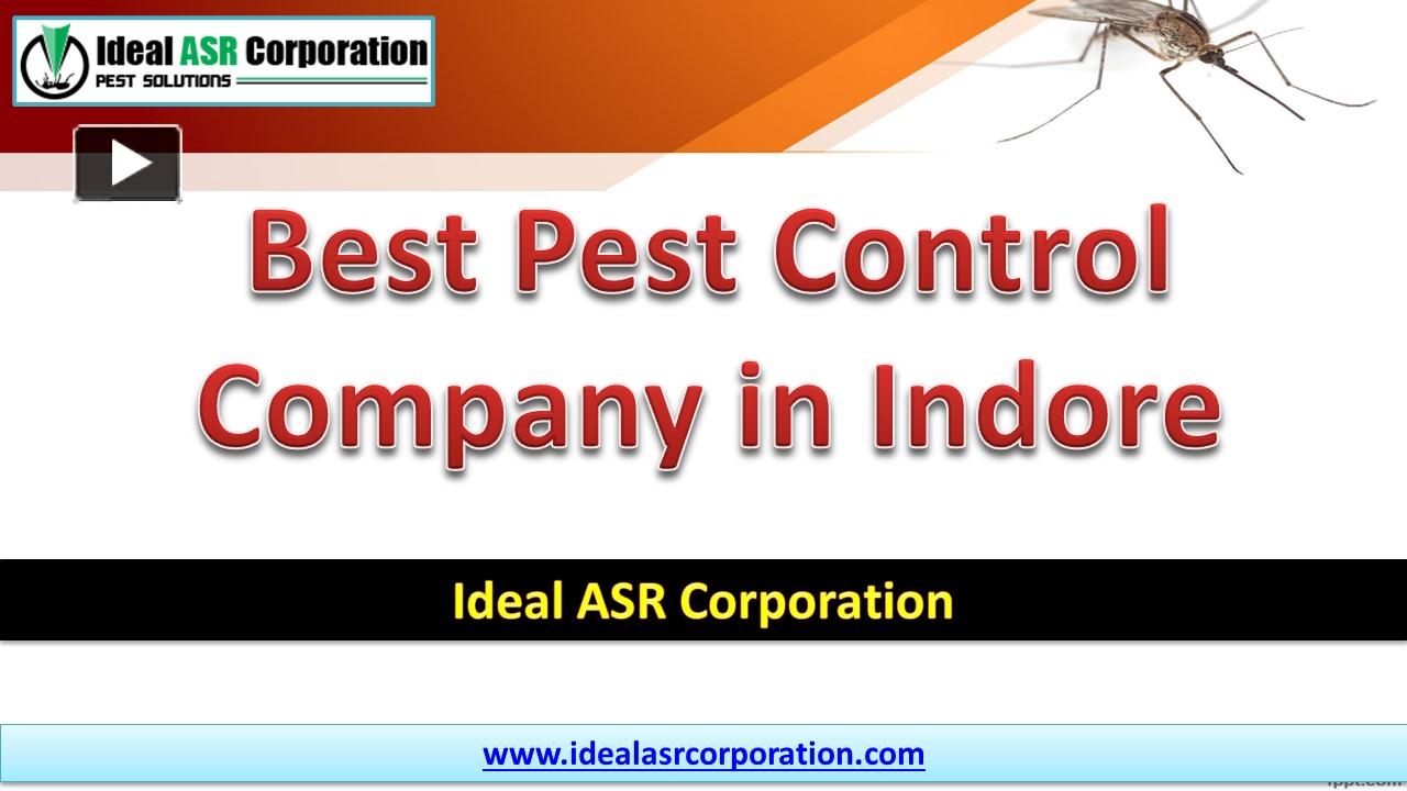 PPT Best Pest Control Company in Indore Ideal ASR Corporation (1