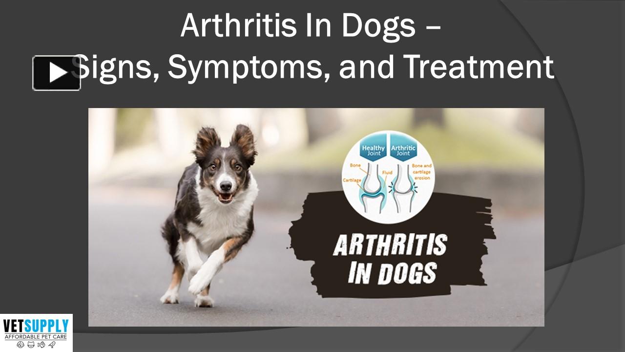 PPT Arthritis In Dogs Signs, Symptoms, and Treatment VetSupply PowerPoint presentation