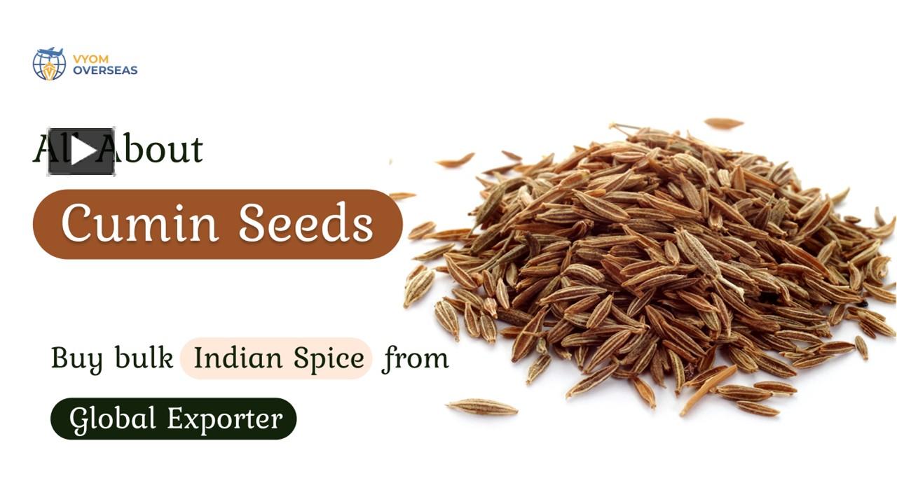 PPT All About Cumin Seeds Buy bulk Indian Spice from global